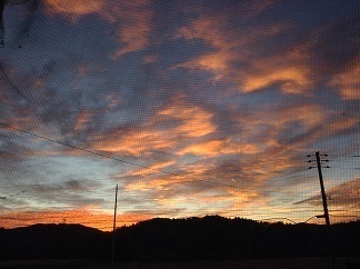 0922 秋の夜明け.jpg
