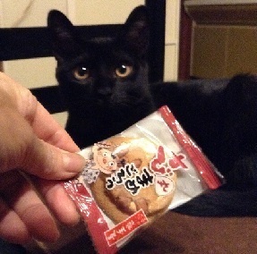 1030 ちび丸まめごろう.jpg