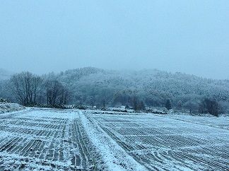 1112 初雪即銀世界.jpg