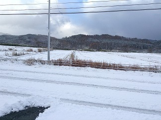 1118 積雪8cm.jpg