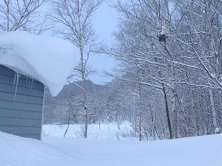 1218 裏原野と雪庇.jpg