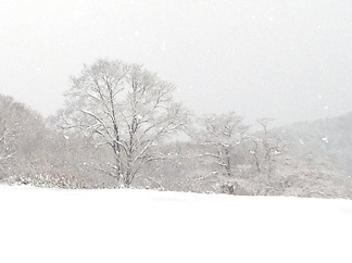 1218 雪降る遠景.jpg