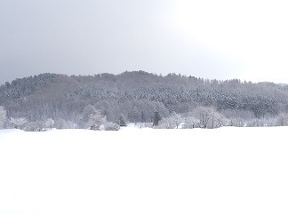250101 打ち粉増量の風景.jpg