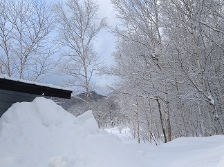 250101 落雪が屋根ギリギリ.jpg