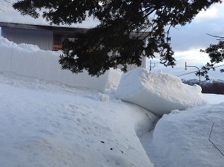 250125 雪庇ついに瓦解.jpg