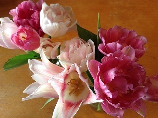 250217 祭壇の花満開.jpg